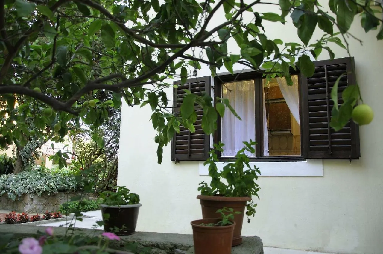 Luka location